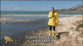 Inquinamento nel fiume Nocella (Palermo) thumbnail