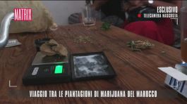 Viaggio tra le piantagioni di marijuana del Marocco thumbnail
