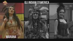 Gli indiani d'America