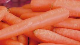 Le virtù della carota thumbnail