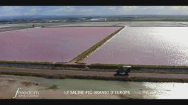 L'alga rosa delle saline di Margherita di Savoia thumbnail