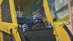 Orso sotto protezione