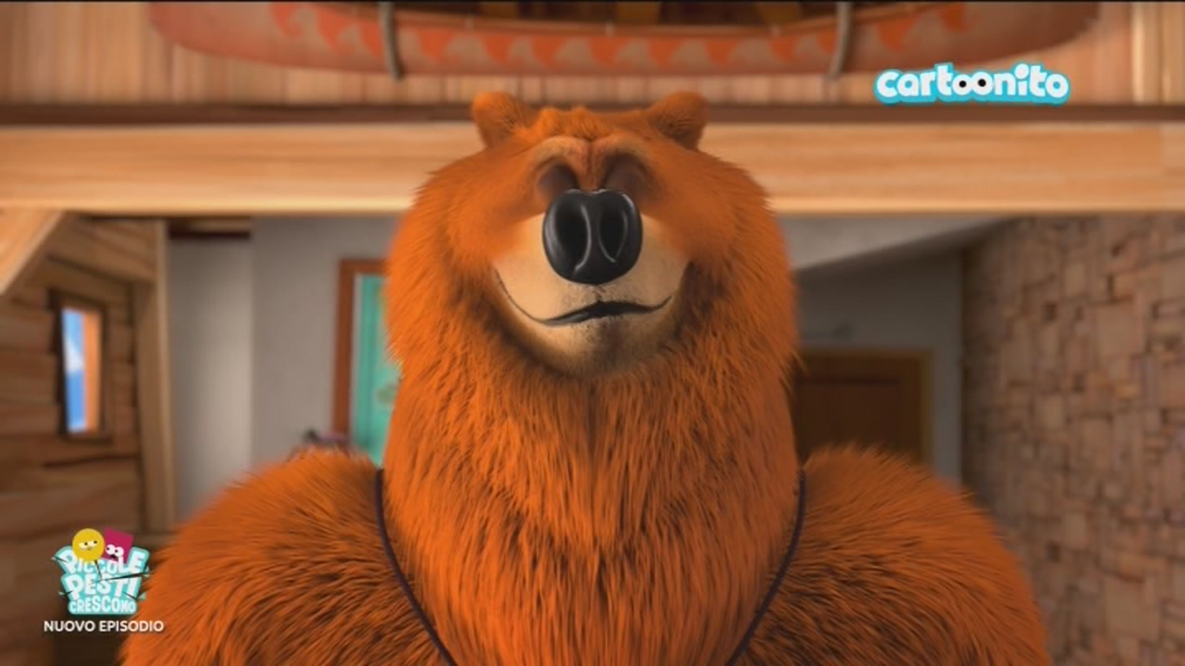 Orso zen