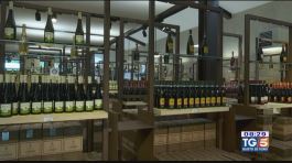 Gusto DiVino: il vino in Piemonte thumbnail