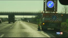 Branco di cinghiali, morte in autostrada thumbnail