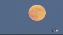 Notte di "superluna" magia rossa nel cielo thumbnail