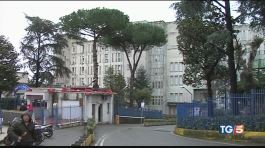Ospedale senza pace, formiche in reparto thumbnail