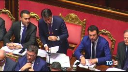Tav e Venezuela, M5S e Lega sempre più divisi thumbnail