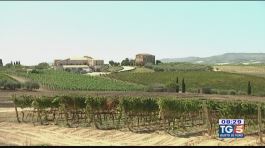 Gusto di Vino: i vini della Sicilia thumbnail