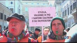 Dall'olio al latte, proteste in piazza thumbnail