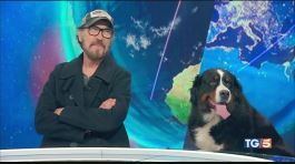L'amicizia, l'addio. C'è Giallini al Tg5 thumbnail