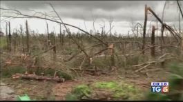 Tornado in Alabama oltre 20 le vittime thumbnail