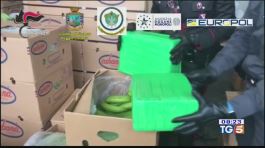 Maxi sequestro di coca al porto di Gioia Tauro thumbnail