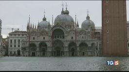 Venezia nuovo allarme "Non ne possiamo più" thumbnail
