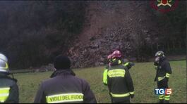 Cade albero: un morto sferzata tutta l'Italia thumbnail