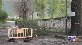 Vento, pioggia e alberi killer thumbnail