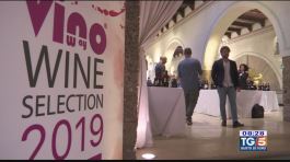 Gusto DiVino: Wine Selection 2019 thumbnail