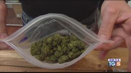 Stop alla vendita di prodotti da cannabis thumbnail