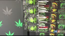 No cannabis light i negozi a rischio? thumbnail