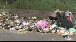 Caldo e rifiuti: rischio per la salute a Roma thumbnail
