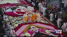 L'infiorata di Roma thumbnail