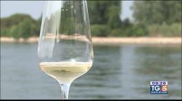 Gusto DiVino: I vini della Laguna thumbnail