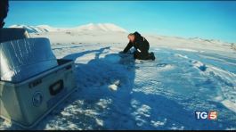Nevica microplastica allarme per l'Artico thumbnail