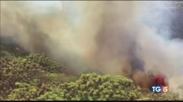 Incendio Gran Canaria "fiamme inarrestabili" thumbnail