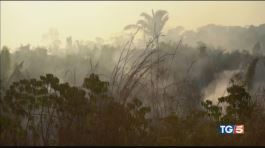Disastro Amazzonia nell'interesse di chi? thumbnail