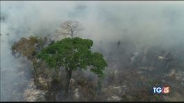 Brasile: no agli aiuti ma l'Amazzonia brucia thumbnail