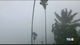 L'uragano Dorian "mostro assoluto" thumbnail