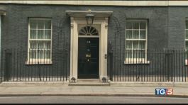 Guerra tra i Johnson, esemplari i Windsor thumbnail