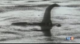 Lochness tra leggenda e fantasia thumbnail