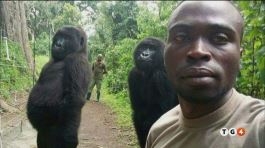 In posa con i gorilla thumbnail