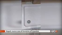 "Formiche in ospedale" thumbnail