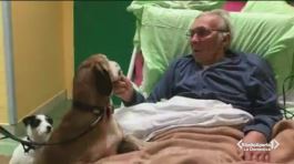"Prima di morire vorrei rivedere i mie cani" thumbnail