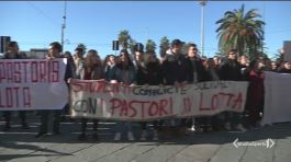 Gli studenti con gli allevatori thumbnail