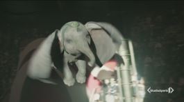 "Dumbo" thumbnail