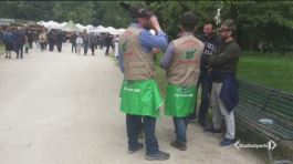 Alpini molto green thumbnail