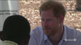 Harry e William fratelli-coltelli thumbnail