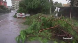 Allerta rossa, Liguria in tilt thumbnail