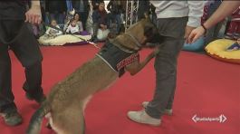 Il raduno dei cani eroi thumbnail