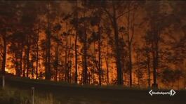 Australia, Natale di fuoco thumbnail