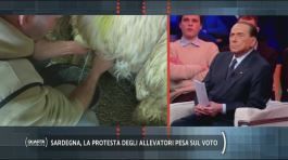 Sardegna, la protesta degli allevatori pesa sul voto thumbnail