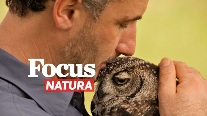 Focus natura