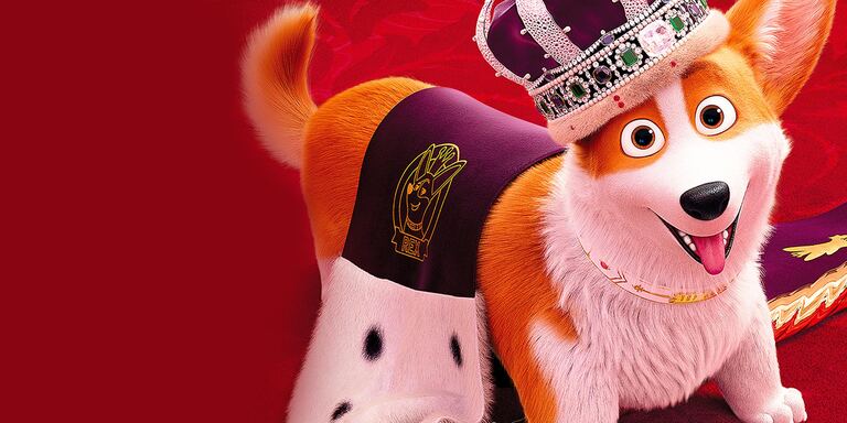 Italia 1 Rex - Un cucciolo a Palazzo