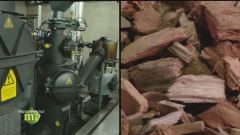 Dal legno all'energia pulita