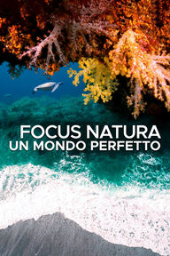 Ep. 5 - Un mondo inaspettato logo