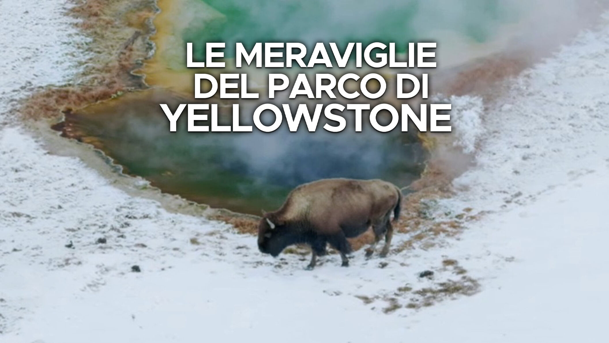 Le meraviglie del parco di Yellowstone