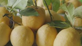 I limoni siciliani thumbnail
